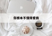 你根本不懂得爱我