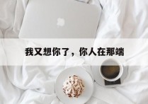 我又想你了，你人在那端