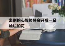 离别的心酸终将会开成一朵灿烂的花