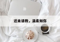 还未请教，温柔如你