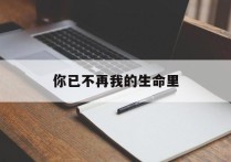 你已不再我的生命里