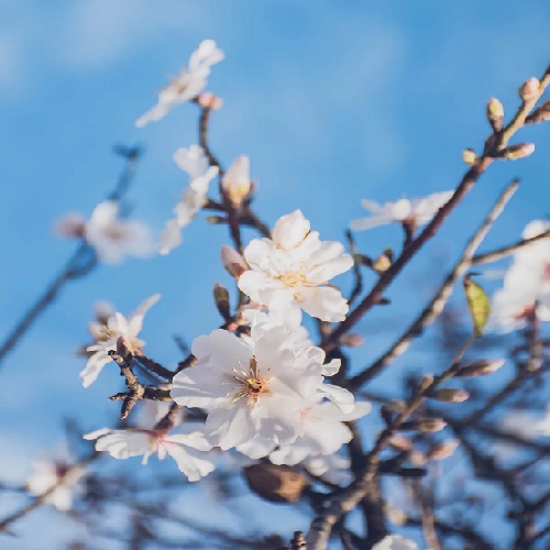 “自我”从何而来