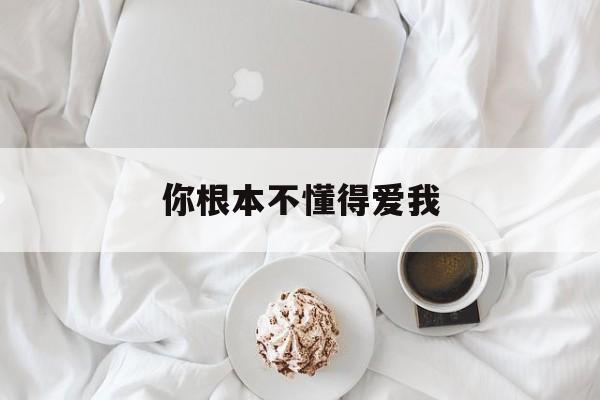 你根本不懂得爱我