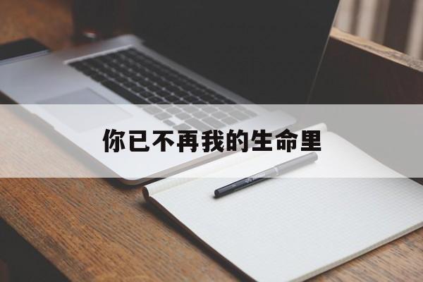 你已不再我的生命里