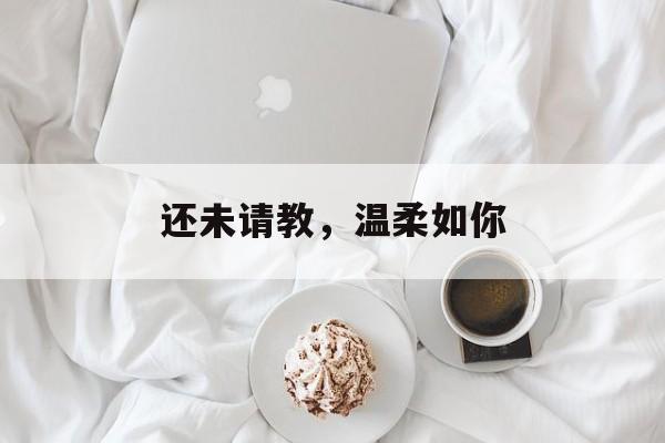 还未请教，温柔如你